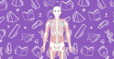 Como estudar os ossos do corpo humano com mapas, flashcards e apps 3D